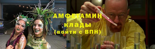 сатива Алзамай