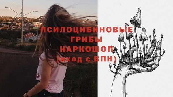 сатива Алзамай
